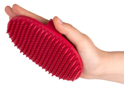 Picture of Show Tech Rubber Brush Oval | Removes Loose Hair